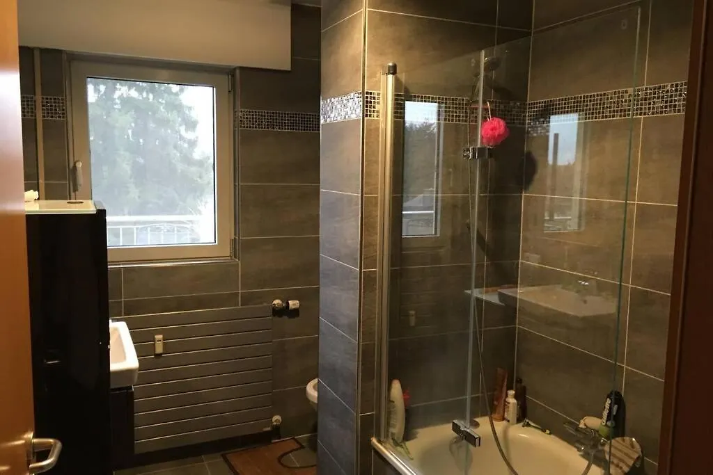 1 Bedroom Penthouse In Bridel 0*,  Luxemburgo